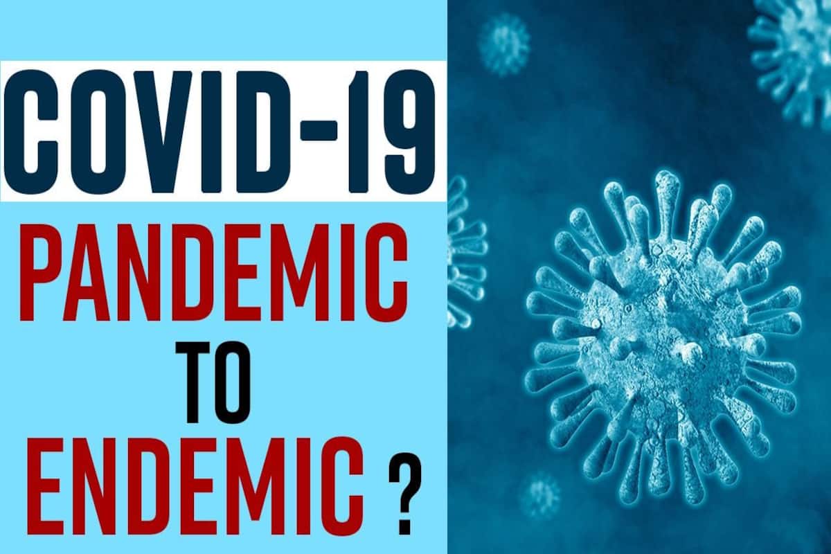 Will Covid-19 Pandemic Eventually Turn Into An Endemic Stage?