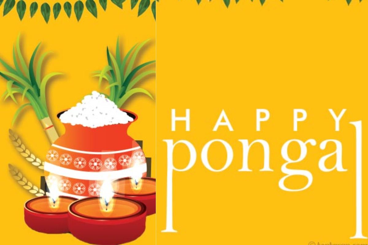 Happy Pongal 2022: Greeting Cards, WhatsApp Status, Facebook ...