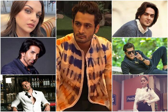 Umar Riaz Evicted: Himanshi Khurana, Vishal Kotian, Ieshaan Sehgaal and Other Celebs Who Are Disappointed