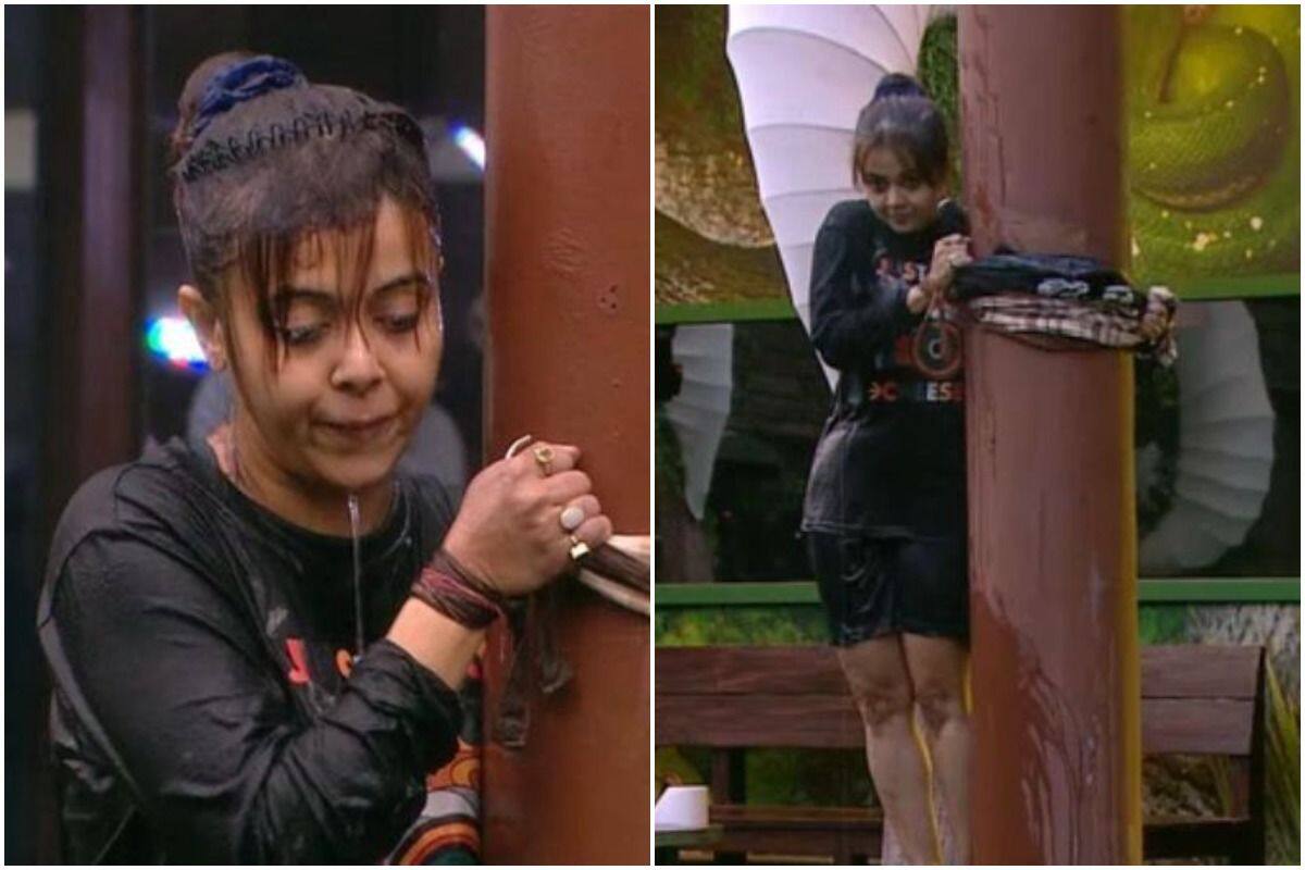 Bigg Boss 15: Devoleena Bhattacharjee Pees Her Pants During Task, Umar Riaz  Lauds Her | Bigg Boss 15 latest update