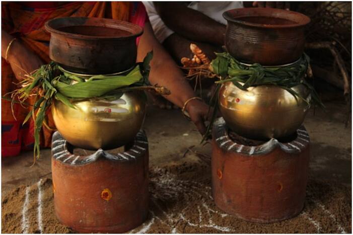 Pongal 2022: Date, History, Significance And Everything You Need to Know. Picture Credits: Unsplash
