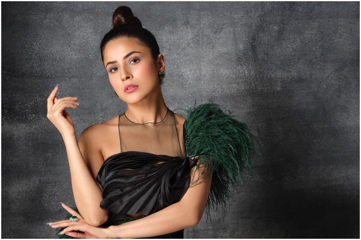 Shehnaaz Gill Shares Stunning Photos From New Shoot With Dabboo Ratnani, Wears Black LBD With Feathers