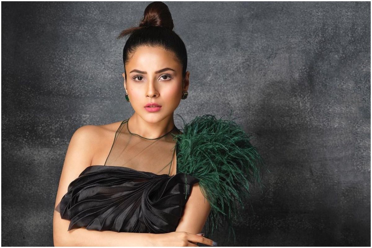 Shehnaaz Gill Shares Stunning Photos From New Shoot With Dabboo Ratnani, Wears Black LBD With Feathers