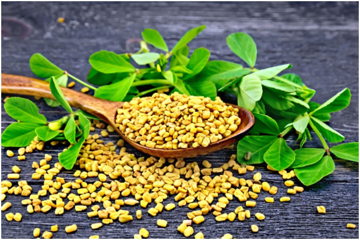 6 Incredible Ayurvedic Benefits of Fenugreek or Methi Seeds