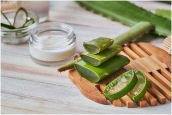 Skincare Tips: 5 Promising Benefits of Aloe Vera Gel for Face
