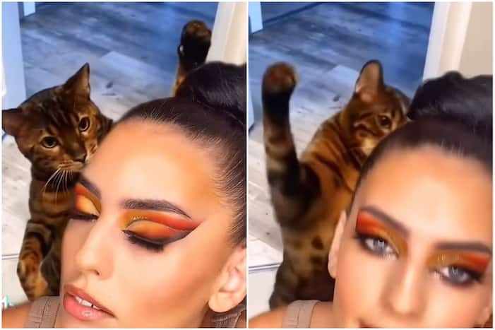 Ladki Aur Billi Ka Video
