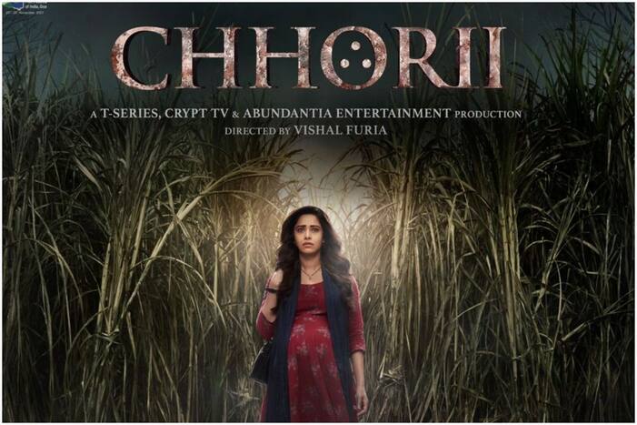 Chhorii 2 On The Cards: Nushrratt Bharuccha Joins Vidya Balan and Shraddha Kapoor To Achieve THIS Feat (Picture Credits: Taran Adarsh/Twitter)
