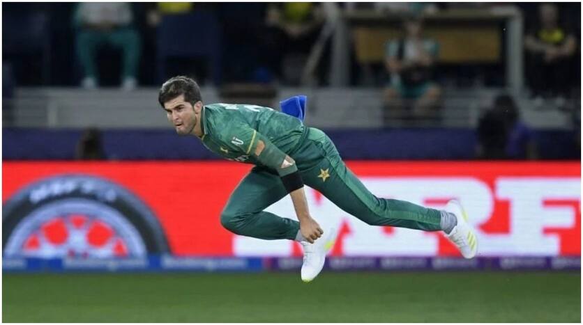 Shaheen Shah Afridi, Shaheen Shah Afridi News, Shaheen Shah Afridi Updates, Shaheen Shah Afridi Latest news, Shaheen Shah Afridi Cricketer of 2021, Shaheen Shah Afridi Cricketer of Year, Shaheen Shah Afridi Latest Updates, Shaheen Shah Afridi Pakistan, Pakistan Cricket Board, PCB, Pakistan Cricket, Shaheen Shah Afridi ICC, ICC, ICC News, ICC Updates