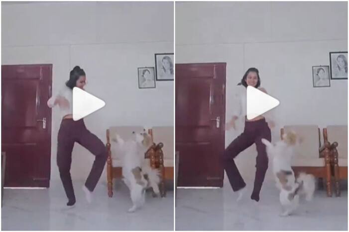 Girl & Her Dog Dance to Nora Fatehi’s Dance Meri Rani, Video is Too Cute to Miss