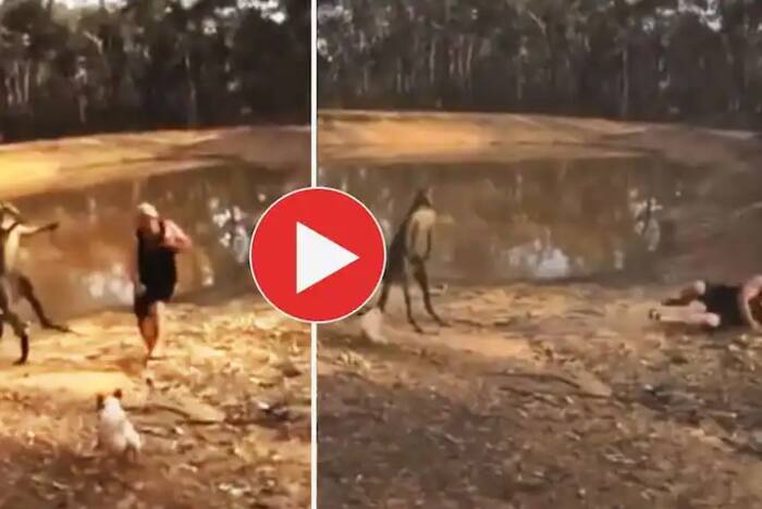 Kangaroo Kicks & Punches Man As He Attempts to Save His Dog, Video is Too Funny
