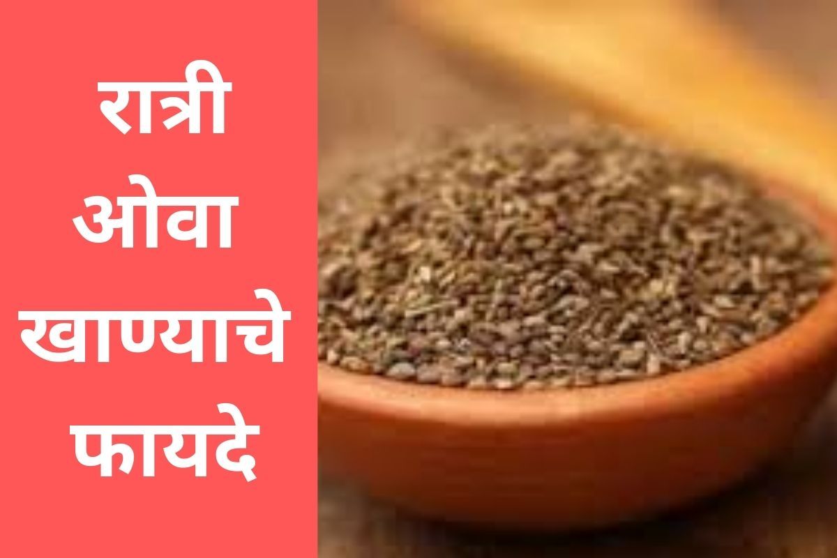 Ajwain Benefits औषधी गुणांनी समृद्ध आहे ओवा, रात्री करा सेवन, होतील हे