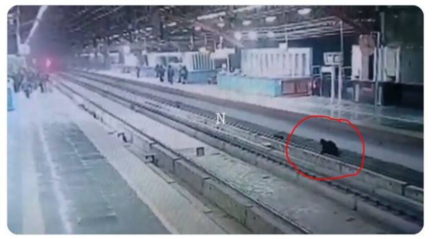 Viral Video: Man, Busy Looking at Mobile Phone, Falls On Delhi Metro Tracks. See What Happens Next