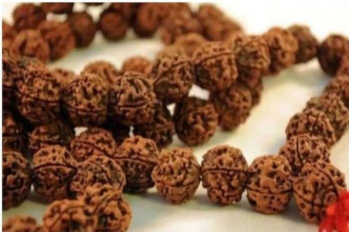 Rudraksh Niyam : रुद्राक्षाची माळ धारण केली असेल तर करू नका या चुका, अन्यथा होईल नुकसान