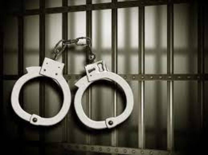 Ponzi Scheme: Gujarat Woman Arrested For Duping Around 700 People For Over Rs 4 Crore
