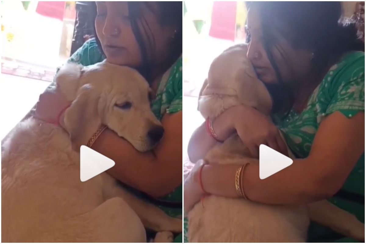 Viral Video: Woman Consoles Pet Dog, Hugs Him Tightly And Calls Him Betu |  Watch