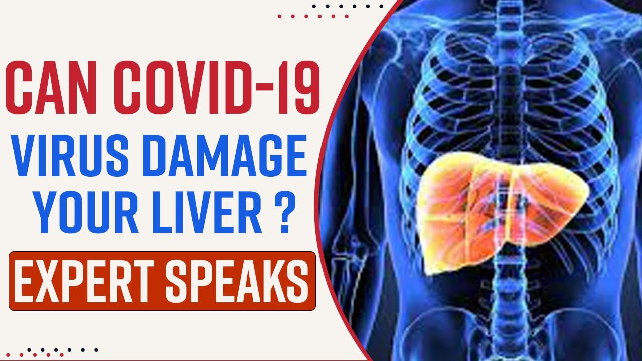Explained Why Is Liver Health Important? Here Is How You Can Keep It Healthy, Expert Speaks Watch