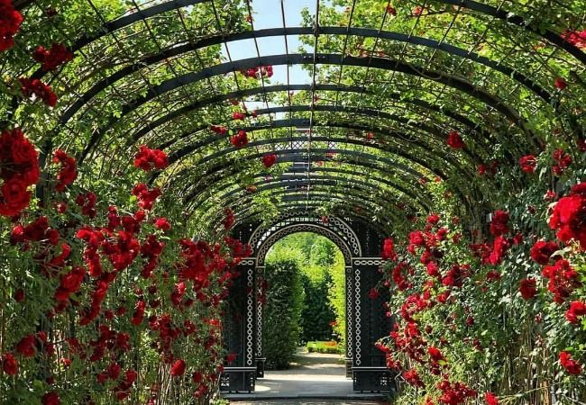 Mughal Garden