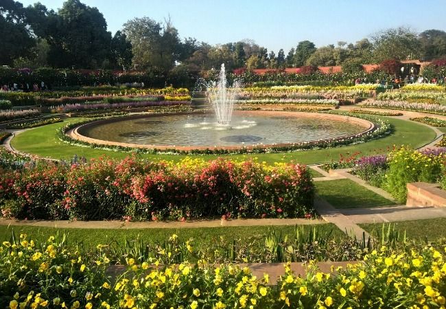 5 Reasons Why You Should Visit Mughal Gardens With Your Partner This ...