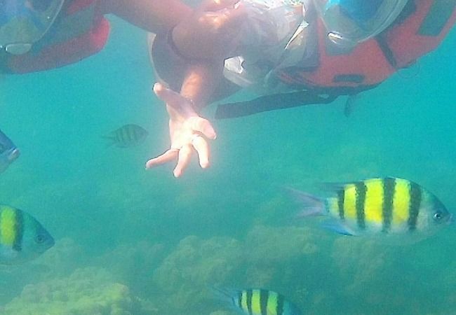 Under the sea, Andaman
