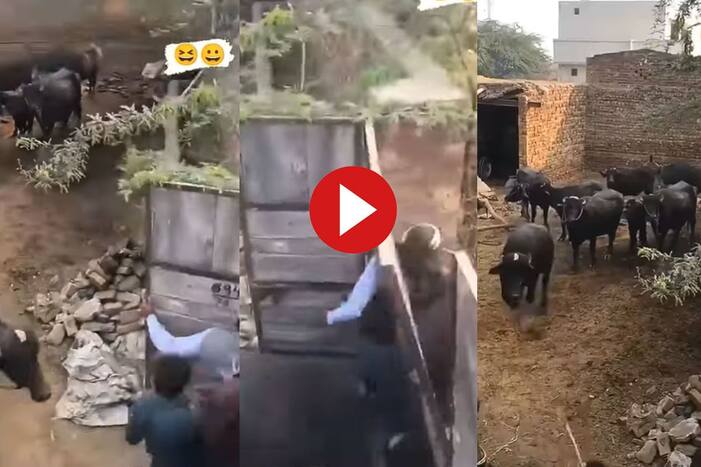 Viral Video