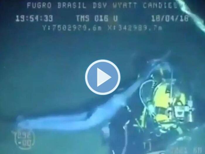 Viral Video Swordfish Attacks Deep Sea Diver, Almost Kills Him. Watch