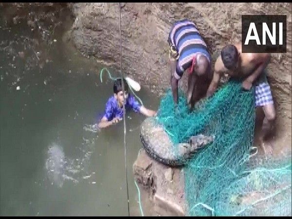 Spotted Deer Rescued From Deep Well in Tamil Nadu. See Photos
