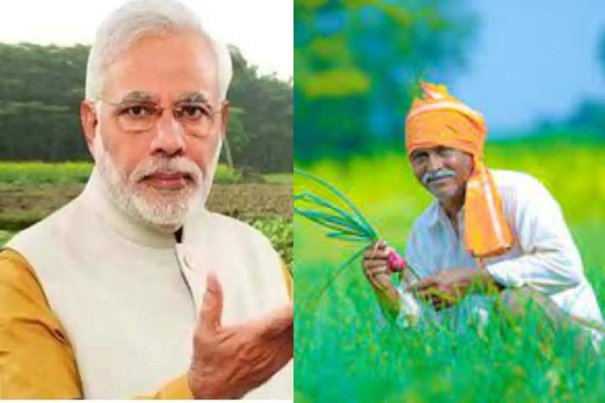 PM Kisan Samman Nidhi Yojana: 11th Installment to be Credited in Farmers' Accounts Today | A Step-by-Step Guide to Check Balance Here