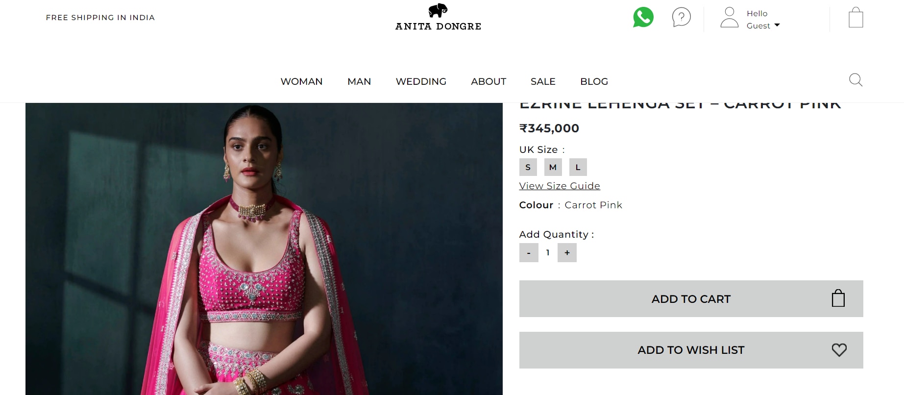 Ezrine Lehenga set (www.anitadongre.com)