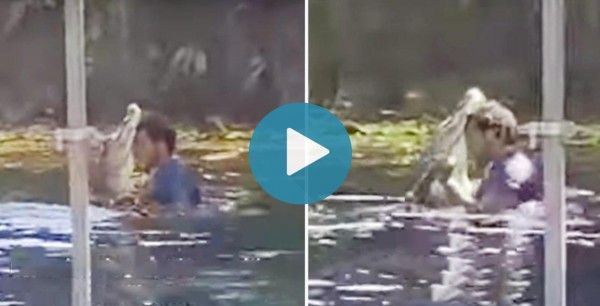 Viral Video: Man Hugs & Dances With An Alligator, Leaves The Internet Stunned | Watch