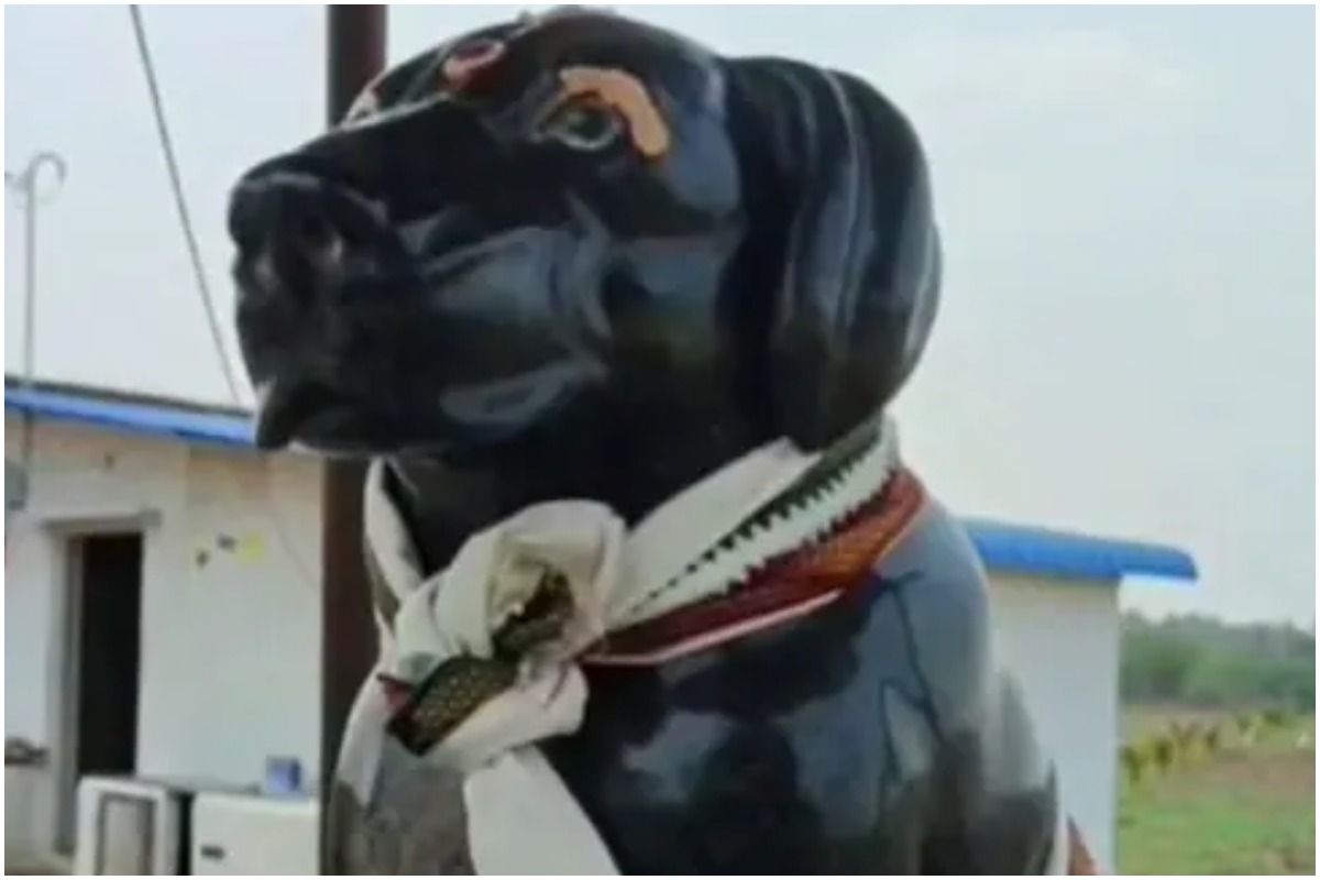 Tamil Nadu Man Builds Temple in Memory of His Late Dog