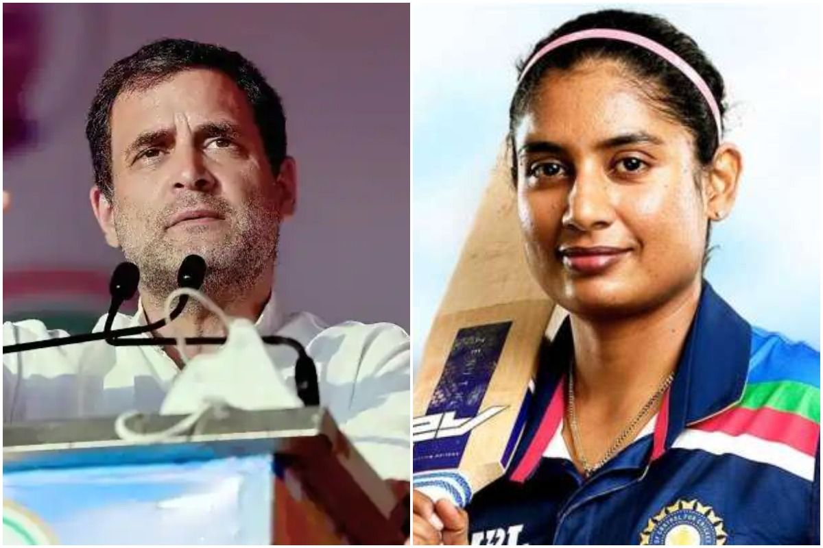 राहुल गांधी ने भारतीय महिला क्रिकेट टीम की तारीफ की, कहा- वर्ल्ड कप में आपने ज़बरदस्त जज़्बा दिखाया