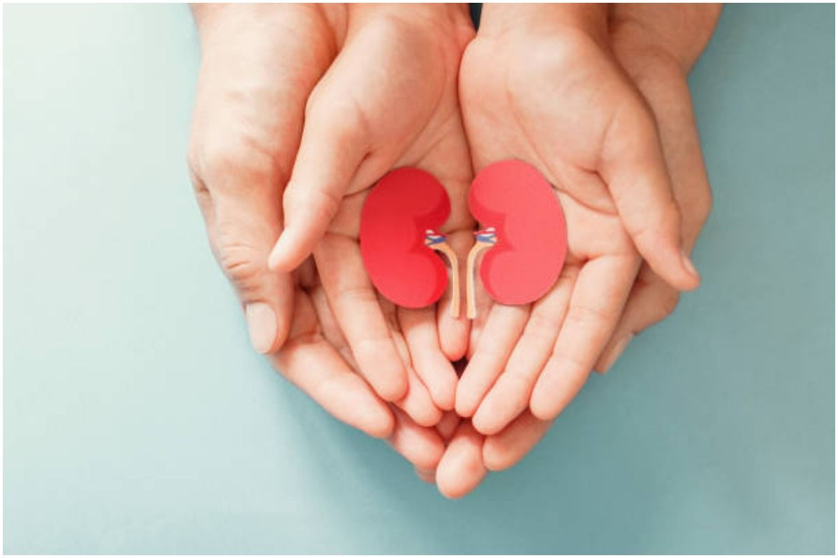 World Kidney Day 2022: 6 Ways to Take Care of Kidney For Diabetes Patients