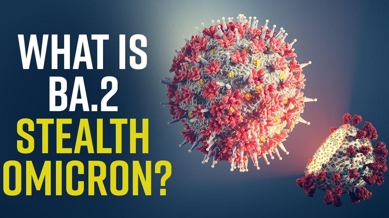 Will Stealth Omicron BA.2 Variant Lead To A Fourth Covid Wave? Common Symptoms And Risks, All