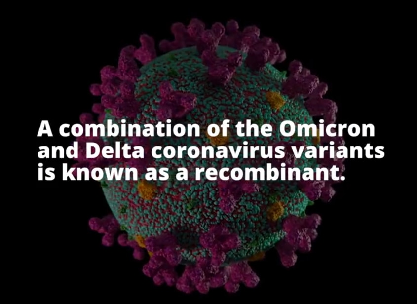 What Happens When COVID-19 Variants Combine? WHO Explains