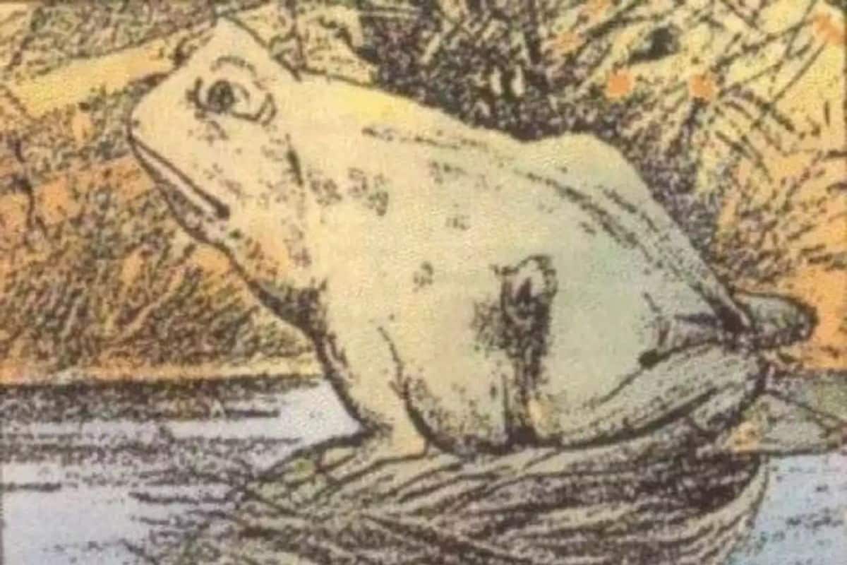 Viral Optical Illusion: Do You See Frog or Horse In This Painting? It Says  This About Your Personality