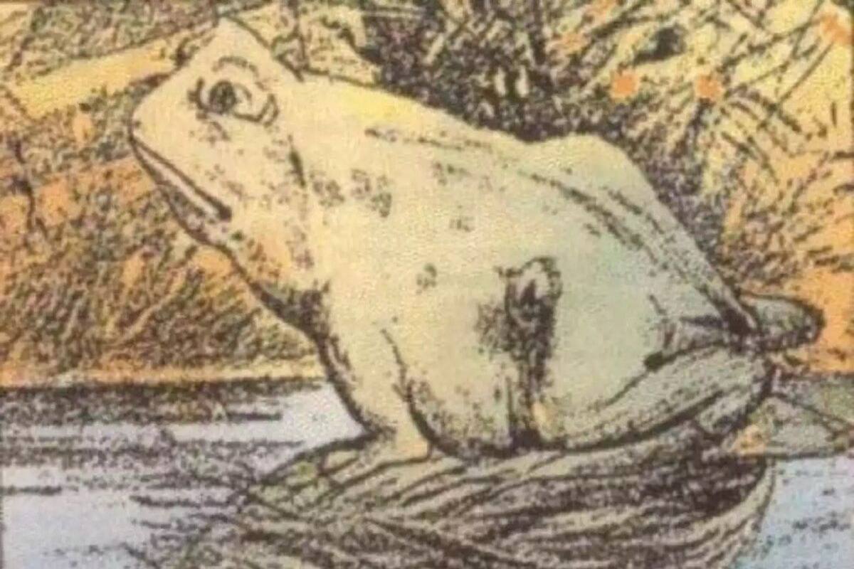 Viral Optical Illusion: Do You See Frog or Horse In This Painting? It Says This About Your Personality Viral Optical Illusion: Do You See Frog or Horse In This Painting? It Says This About Your Personality