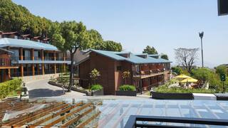 For Mist-Soaked Panoramic View Of The Dhauladhar Ranges - Radisson Blu Resort, Dharamshala Review