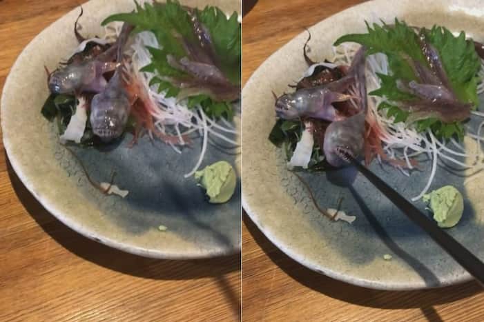 Viral Video: Fish Served At Restaurant Comes Alive & Bites On Chopstick; Internet Is Disgusted