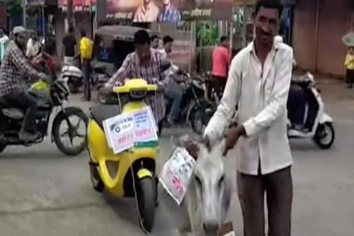Ola Electric Scooter : कस्टमर सर्व्हिसमुळे त्रस्त ग्राहकाने स्कूटर चक्क गाढवाला बांधून काढली परेड, VIDEO झाला व्हायरल