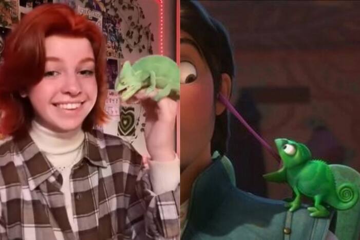 Viral Video: Chameleon Shoots Out Tongue at Girl's Nose Like Pascal From Tangled. Watch