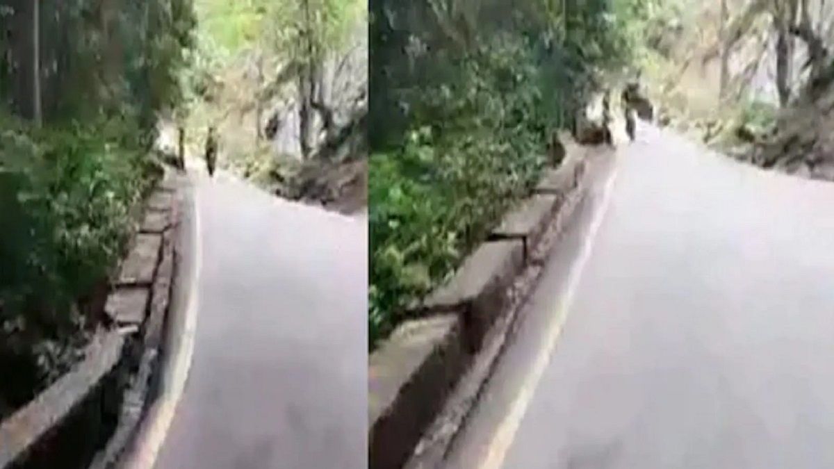 Kerala accident viral video