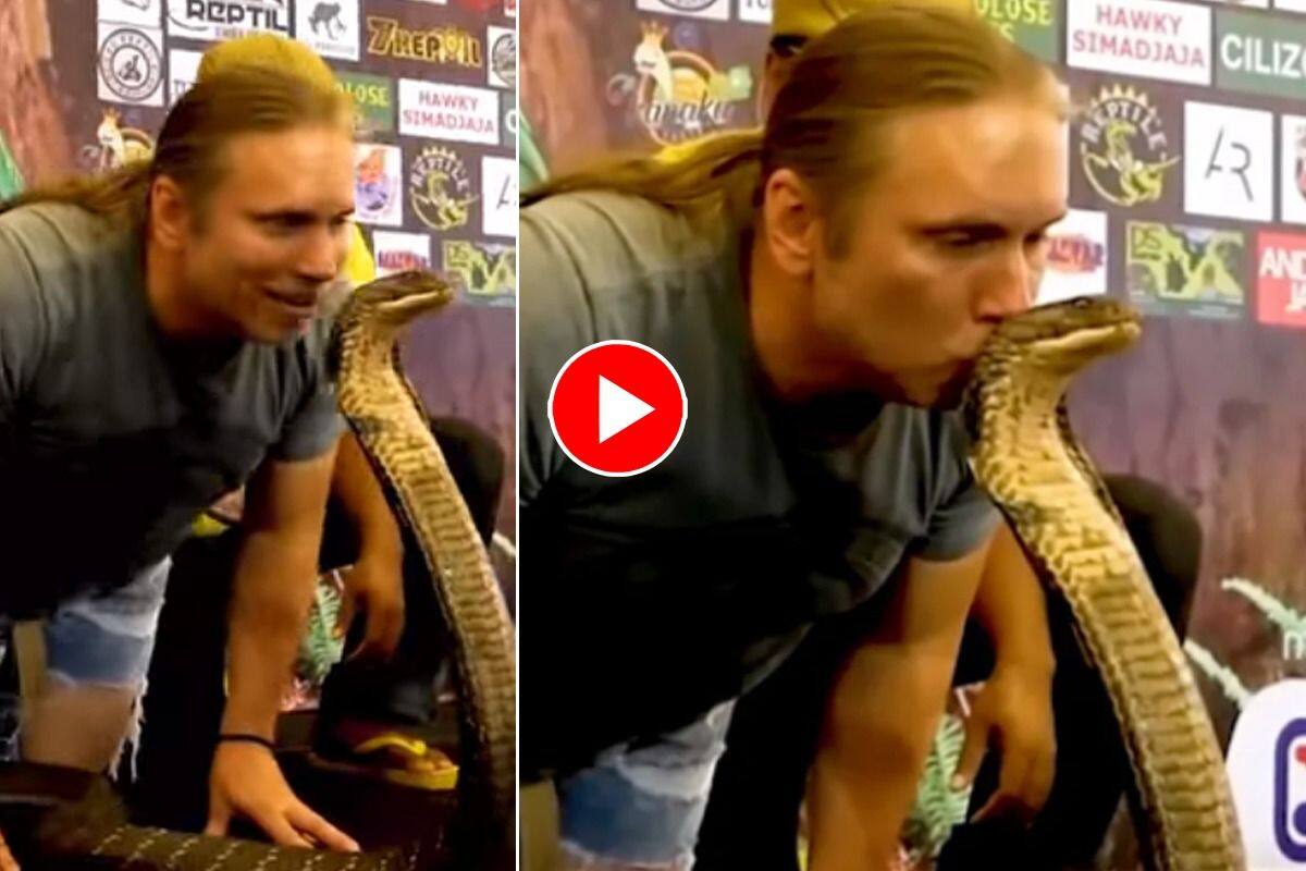 King Cobra Handler Retires After Kissing Snakes For 30 Years