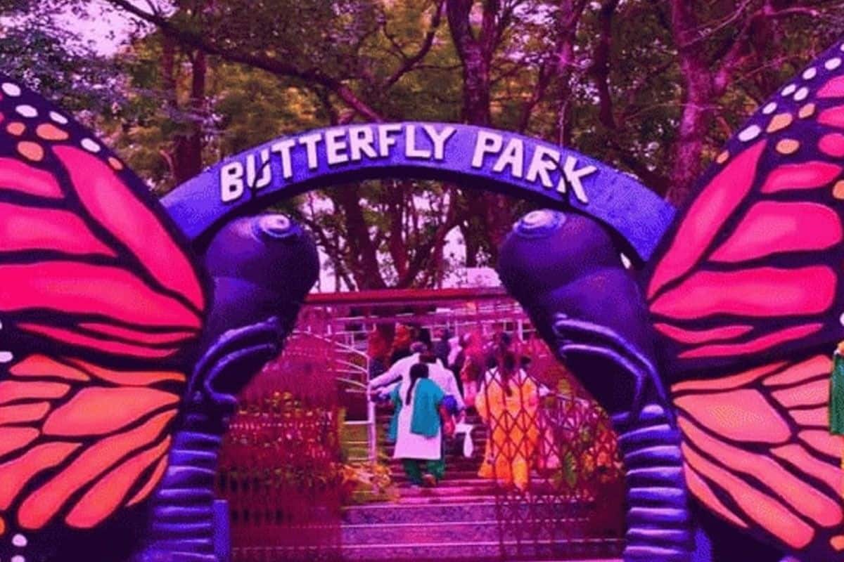 Butterfly Park In Delhi Promotes Biodiversity - Check Timings ...