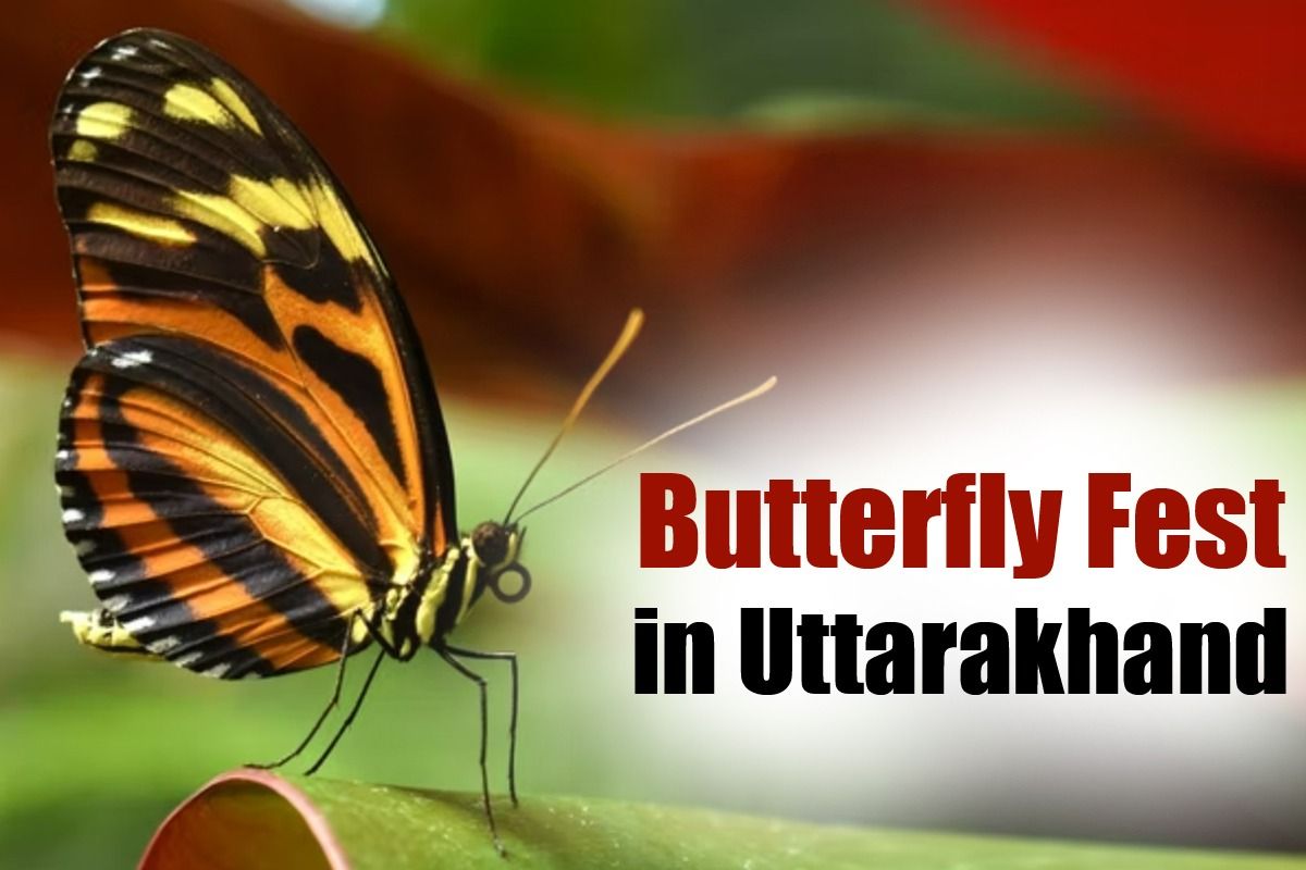 Butterfly Fest in Uttarakhand