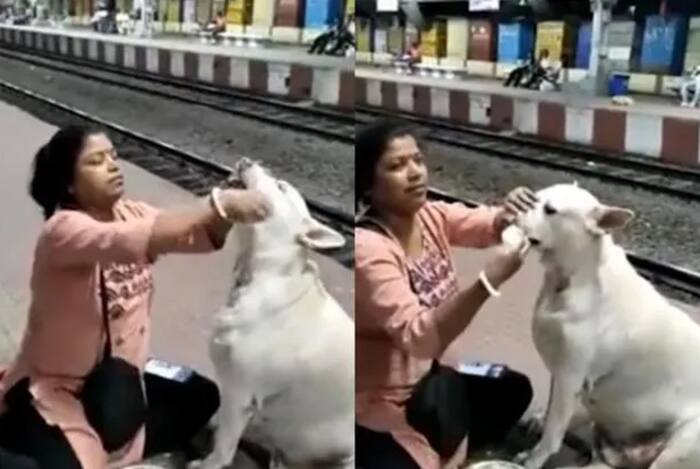 Woman Feeds Curd Rice to Stray Dog at West Bengal Railway Station