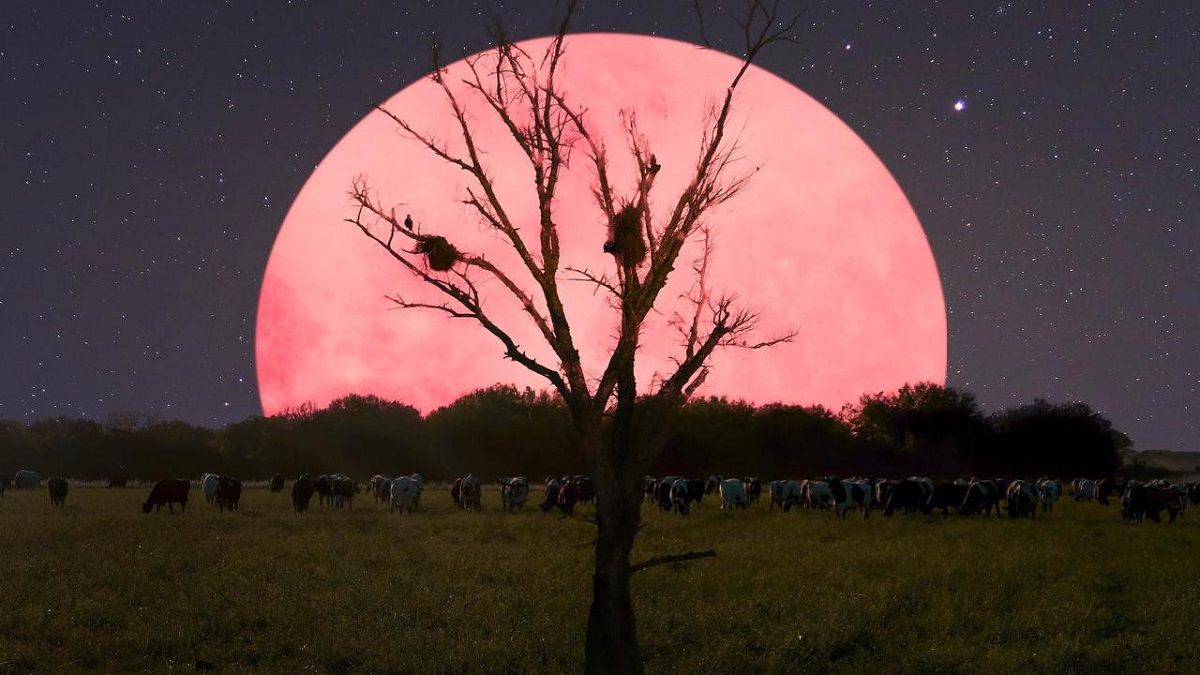 Pink Moon 22 Rare Full Supermoon To Light Up Sky Check Time Date In India