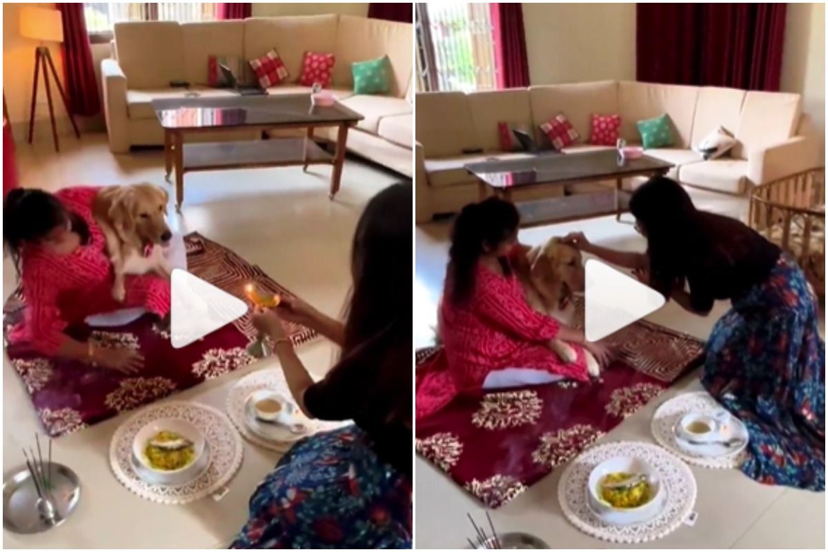 Family Performs Pooja For Their Adorable Pet Dog on His First Birthday