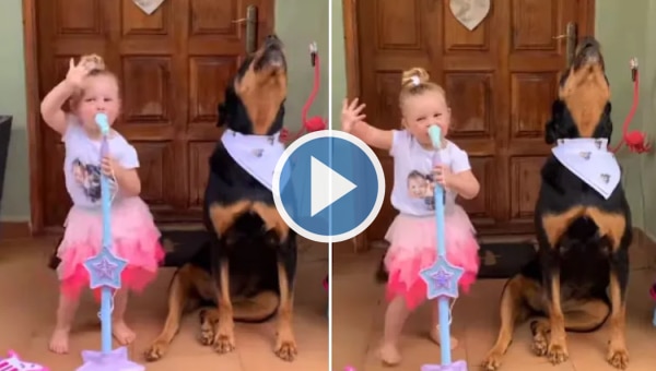Adorable Video of Little Girl Singing & Performing With Her Pet Dog Will Make You Smile