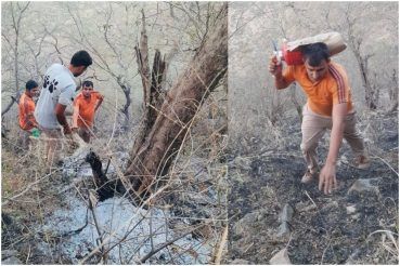 Sariska Tiger Reserve is Burning For 2 Weeks - All About Fire in The Wildlife Sanctuary And Its Cause