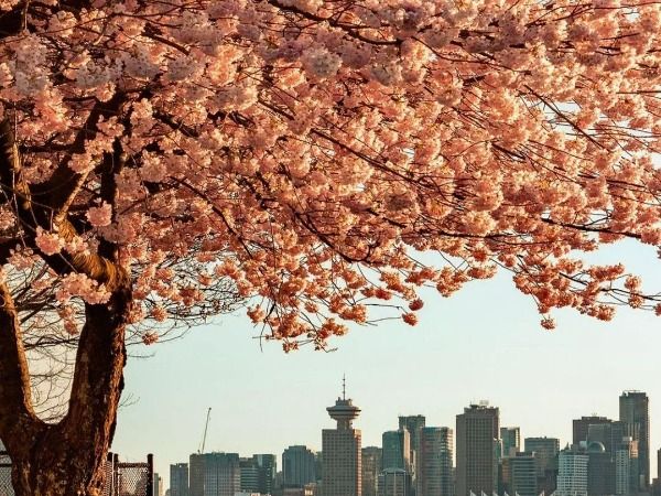 Canada Travel